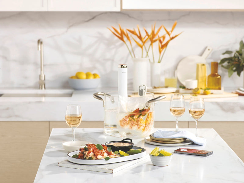 Load image into Gallery viewer, Breville the Joule Turbo Sous Vide BSV600PSS1BNA1
