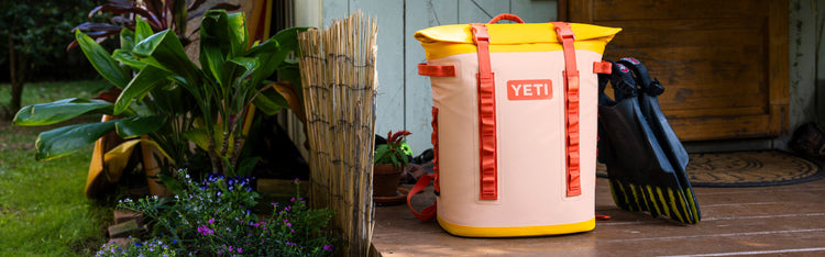 The New Gold Coast Collection