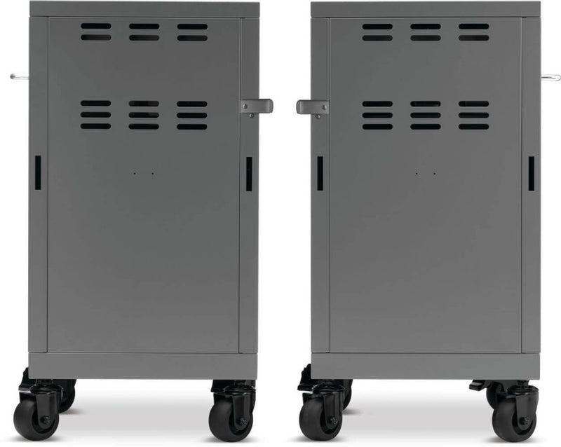 Load image into Gallery viewer, Napoleon Prestige® Under Grill Storage

