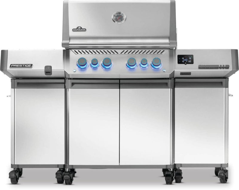 Load image into Gallery viewer, Napoleon Prestige® Under Grill Storage
