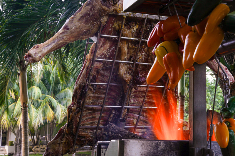 Load image into Gallery viewer, Tagwood Argentine Santa Maria Wood Fire &amp; Charcoal Gaucho Grill | BBQ06SS PARTIALLY ASSEMBLED
