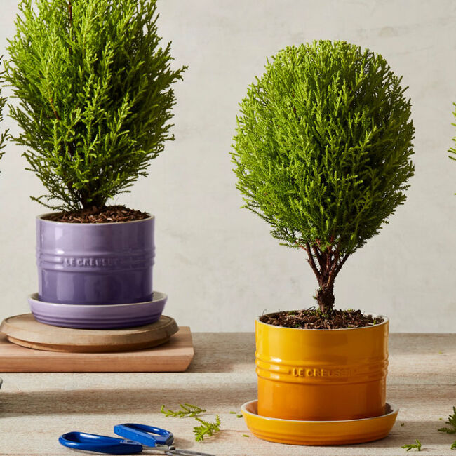 Load image into Gallery viewer, Le Creuset Herb Planter
